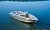 Wyatboat-490 DC