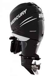 Mercury 250 L Verado